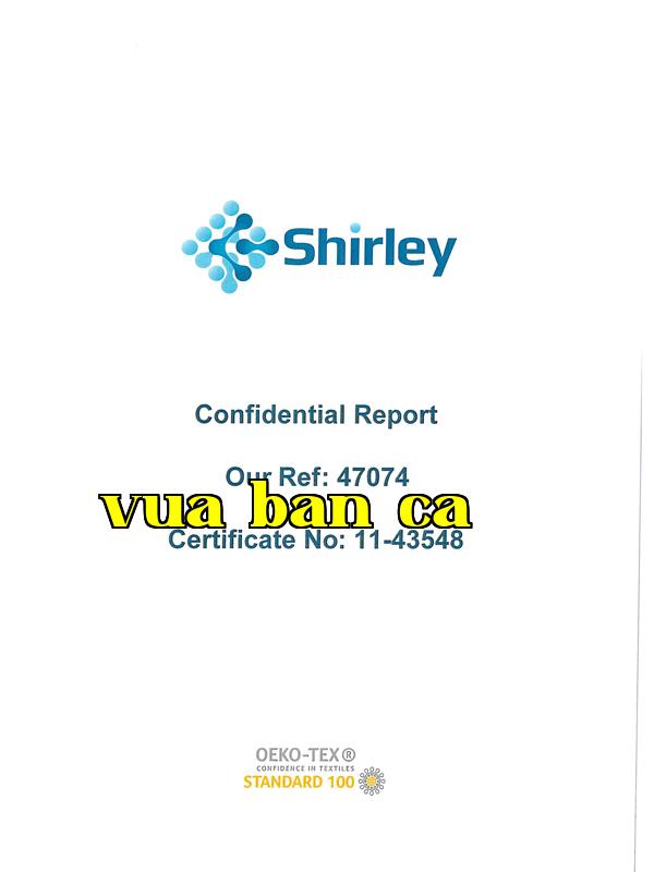 Danh hiệu 4