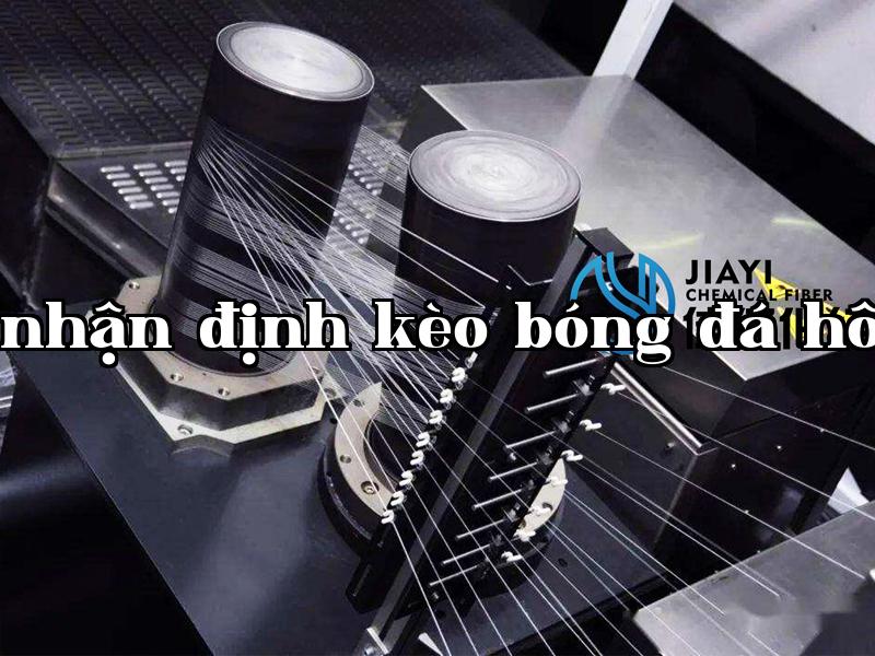 Ảnh công ty 3
