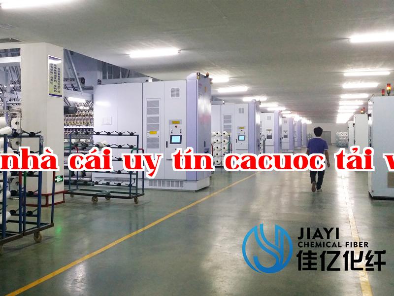 Ảnh công ty 7