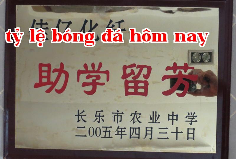 Danh hiệu 24