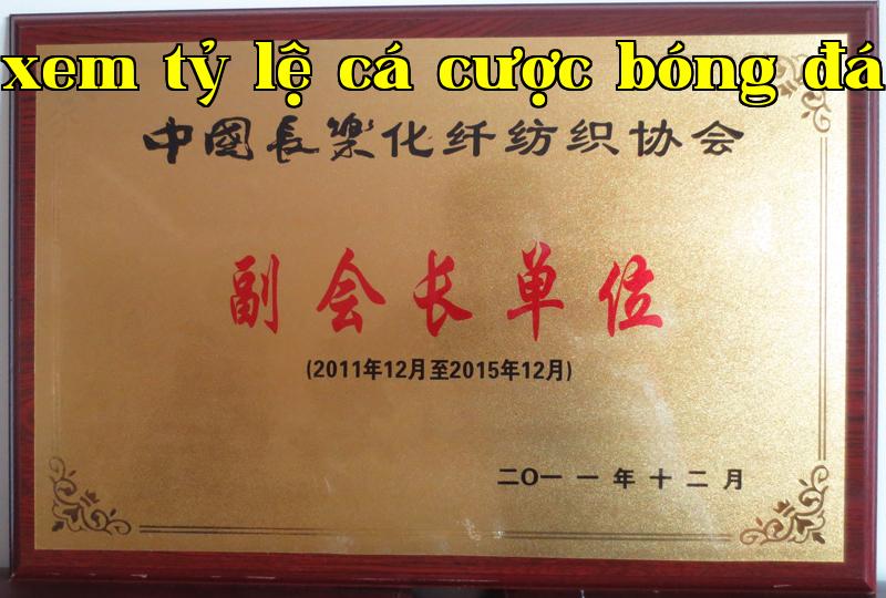 Danh hiệu 11