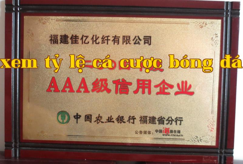 Danh hiệu 16