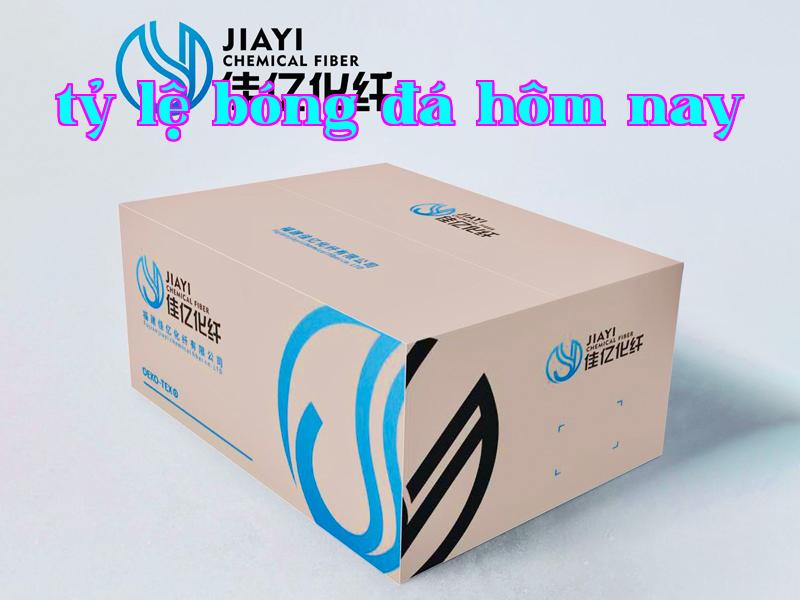 Ảnh công ty