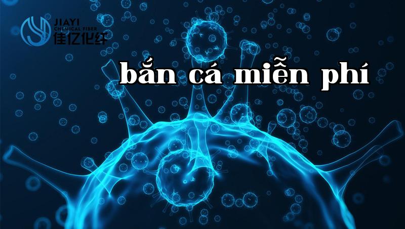 Mô tả sản phẩm 1