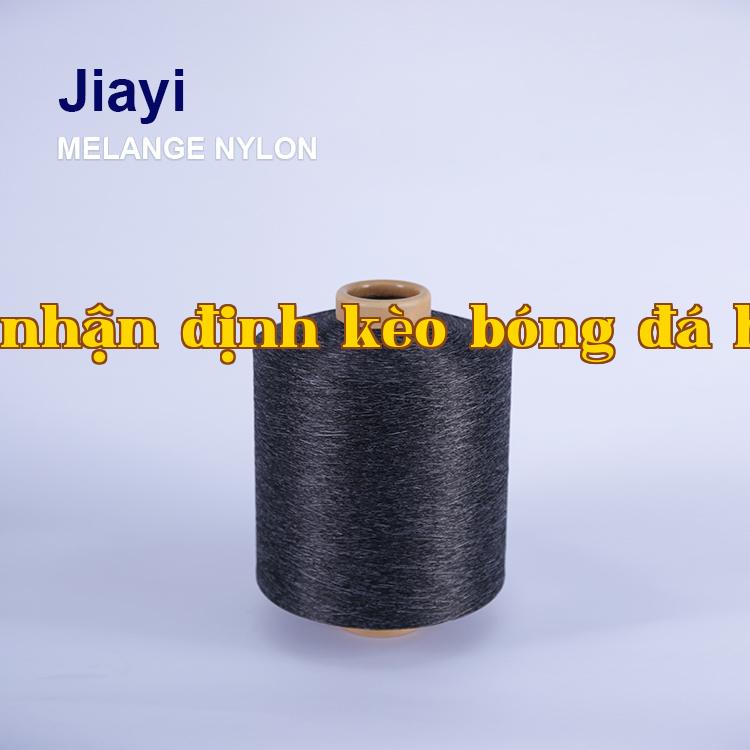 ເສັ້ນດ້າຍ Nylon Melange DTY