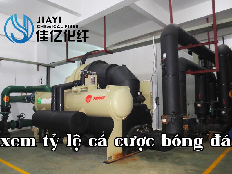 Ảnh công ty 5