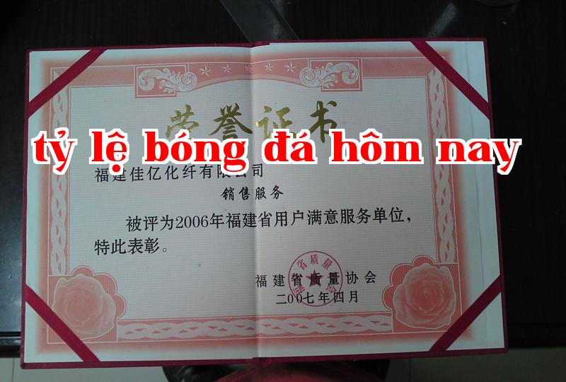 Danh hiệu 28