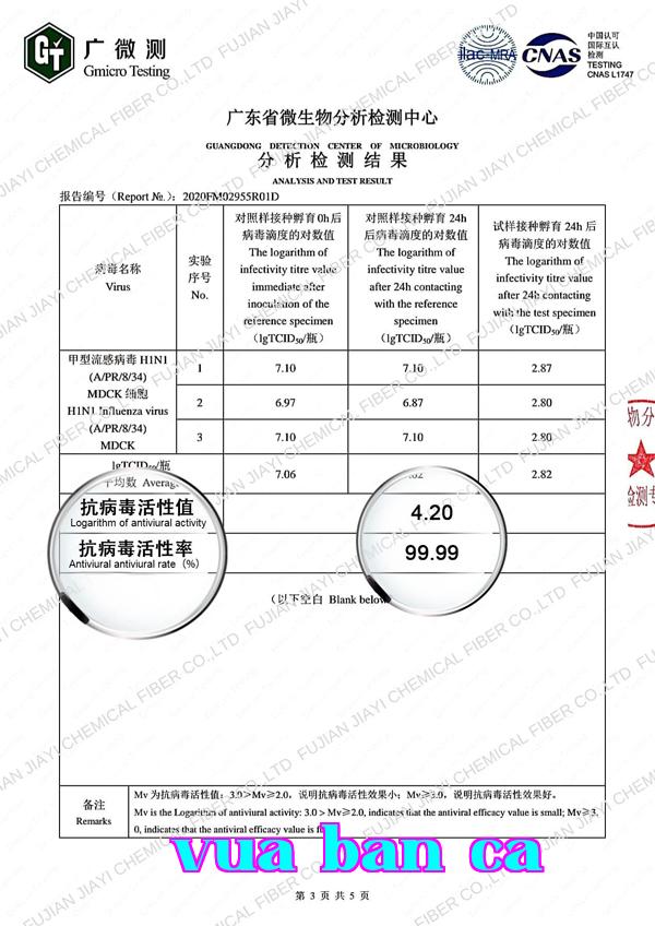 Mô tả sản phẩm 13