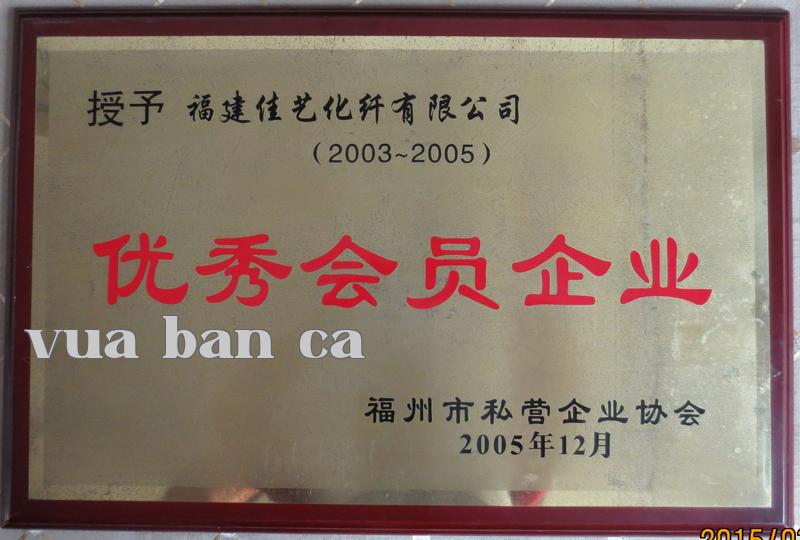 Danh hiệu 18