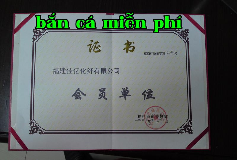 Danh hiệu 33