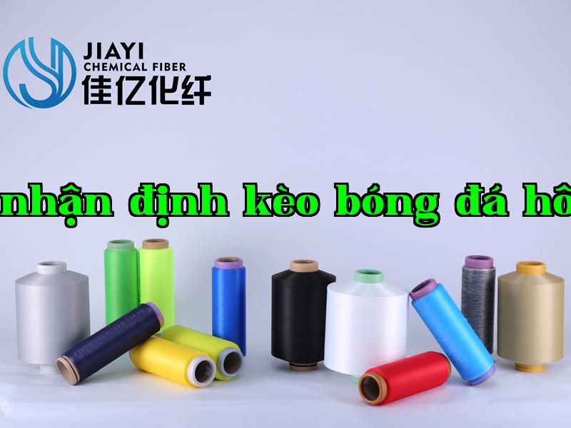 Ảnh công ty 11