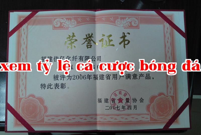 Danh hiệu 31