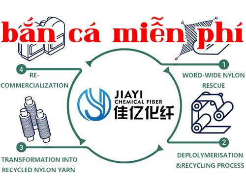 Mô tả sản phẩm 1