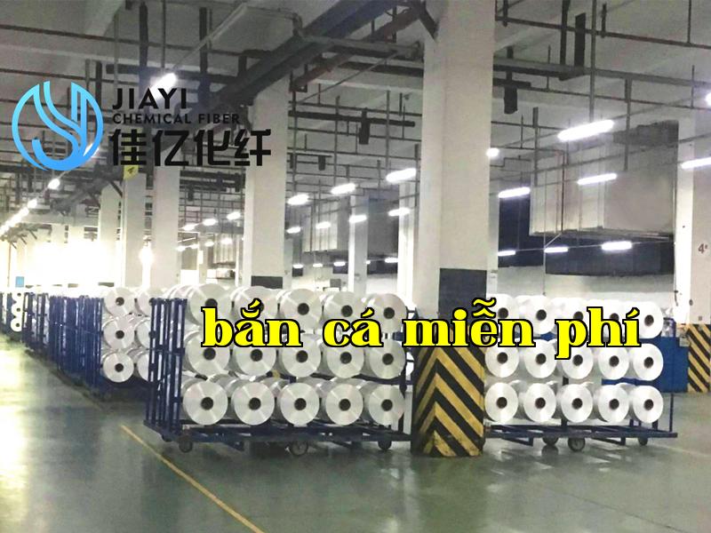 Ảnh công ty 4