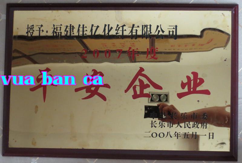 Danh hiệu 23