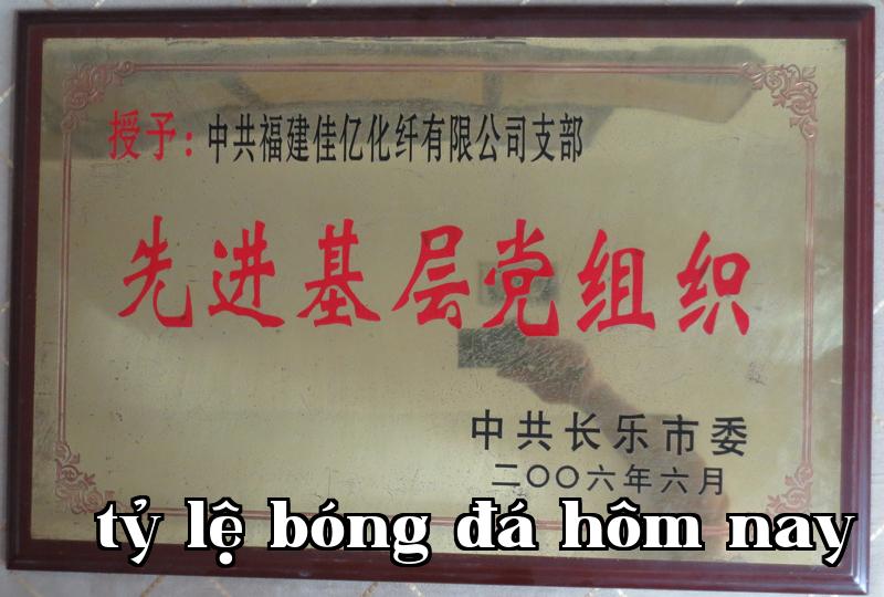 Danh hiệu 19