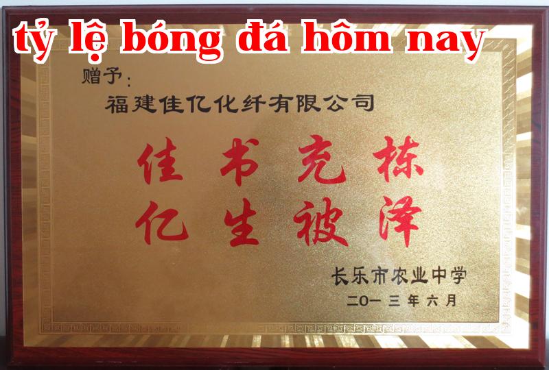 Danh hiệu 10
